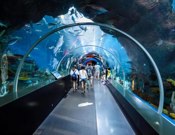 Tham quan thủy cung SEA aquarium trong tour Singapore
