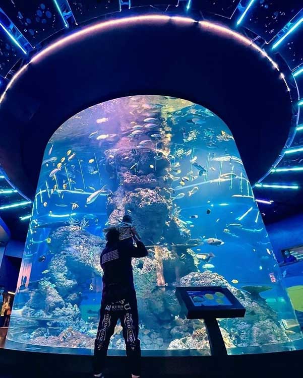 Tour singapore tham quan SEA Aquariumjpg